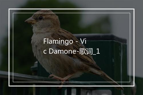 Flamingo - Vic Damone-歌词_1