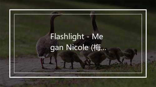 Flashlight - Megan Nicole (梅根 妮可)-歌词