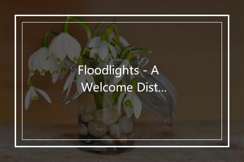 Floodlights - A Welcome Distraction-歌词