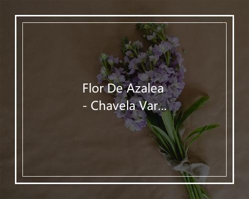 Flor De Azalea - Chavela Vargas (查薇拉·华葛丝)-歌词_3