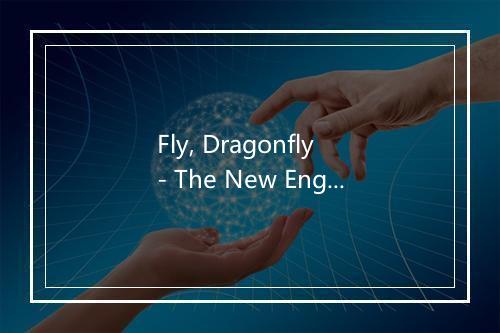 Fly, Dragonfly - The New England Children's Choir-歌词