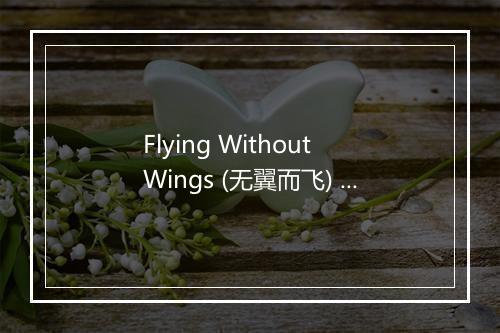 Flying Without Wings (无翼而飞) (Live) - Westlife (西城男孩)-歌词