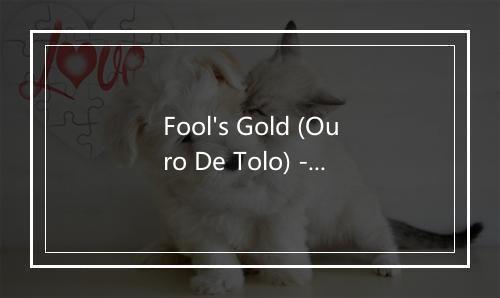 Fool's Gold (Ouro De Tolo) - Raul Seixas-歌词