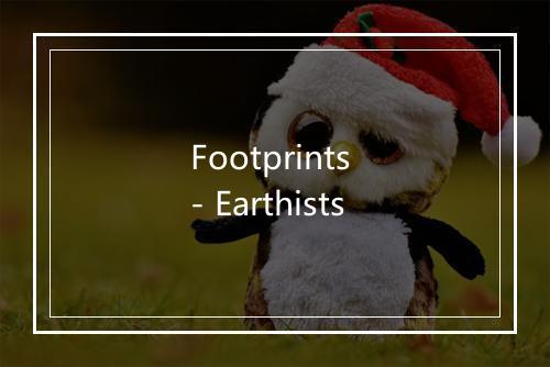 Footprints - Earthists