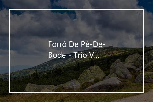 Forró De Pé-De-Bode - Trio Virgulino-歌词