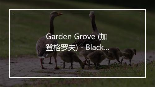 Garden Grove (加登格罗夫) - Black Hole Sun-歌词