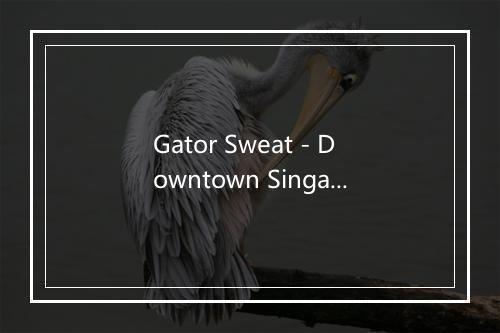 Gator Sweat - Downtown Singapore-歌词