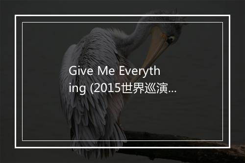 Give Me Everything (2015世界巡演上海站现场) - Pitbull (皮特保罗)-歌词