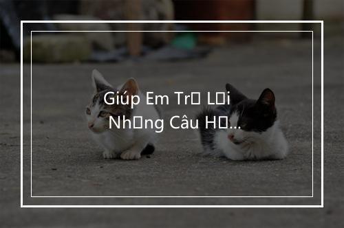 Giúp Em Trả Lời Những Câu Hỏi - Bich Phuong-歌词