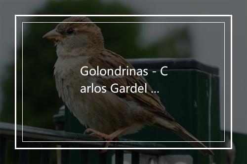 Golondrinas - Carlos Gardel (卡洛斯·加德尔)-歌词_1