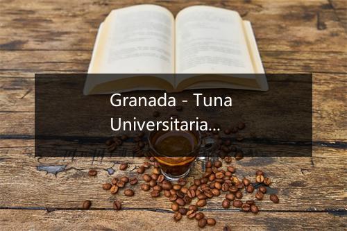 Granada - Tuna Universitaria-歌词_1