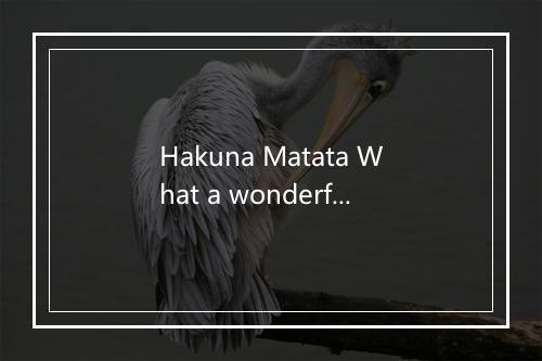 Hakuna Matata What a wonderful phrase-歌词