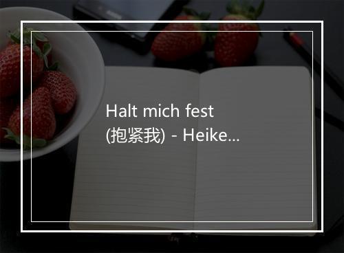 Halt mich fest (抱紧我) - Heike Makatsch-歌词