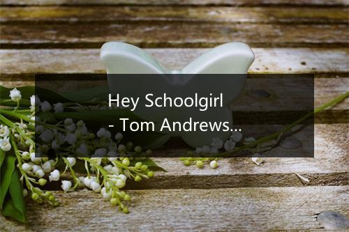 Hey Schoolgirl - Tom Andrews-歌词