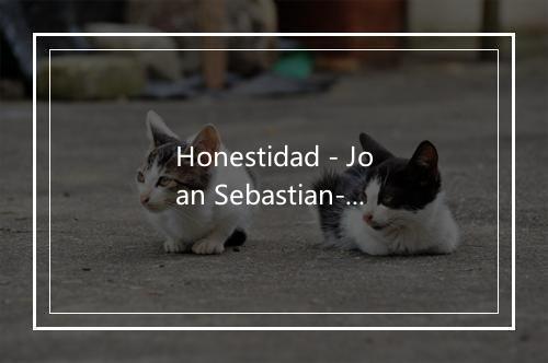 Honestidad - Joan Sebastian-歌词