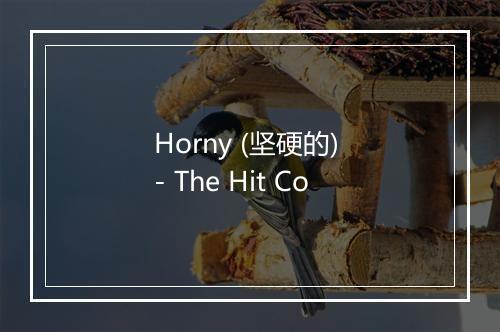 Horny (坚硬的) - The Hit Co