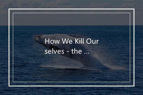 How We Kill Ourselves - the lyndsay diaries-歌词