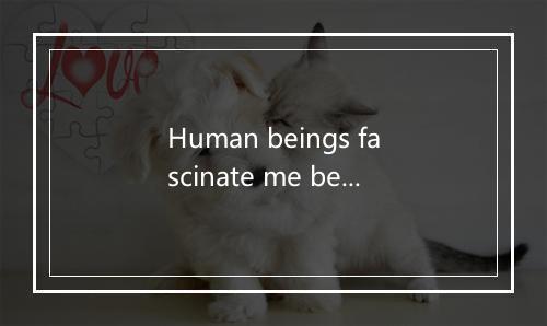 Human beings fascinate me being just the way they are-歌词