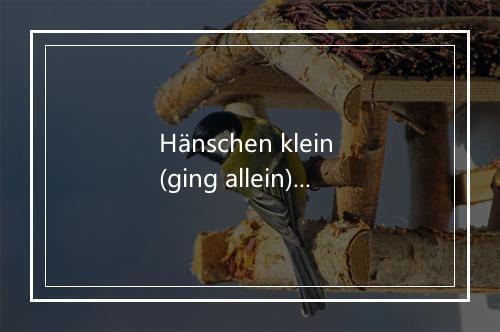 Hänschen klein (ging allein) [Children Party Mix] - Kids Planet-歌词_2