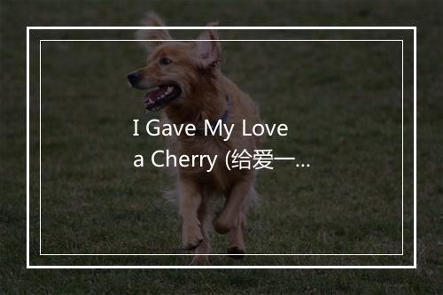 I Gave My Love a Cherry (给爱一颗樱桃) - The Kiboomers (婴儿音乐)-歌词