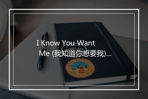 I Know You Want Me (我知道你想要我) - Pitbull (皮普保罗)-歌词