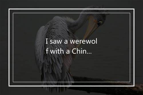 I saw a werewolf with a Chinese menu in his hand-歌词