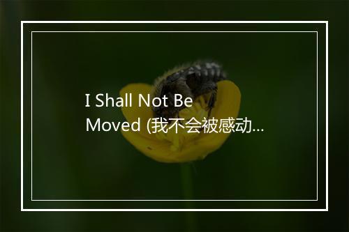 I Shall Not Be Moved (我不会被感动) - Blind Roosevelt Graves-歌词