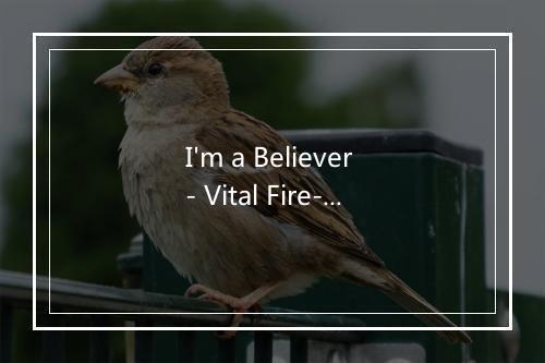 I'm a Believer - Vital Fire-歌词