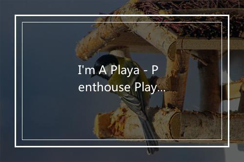 I'm A Playa - Penthouse Players Clique-歌词