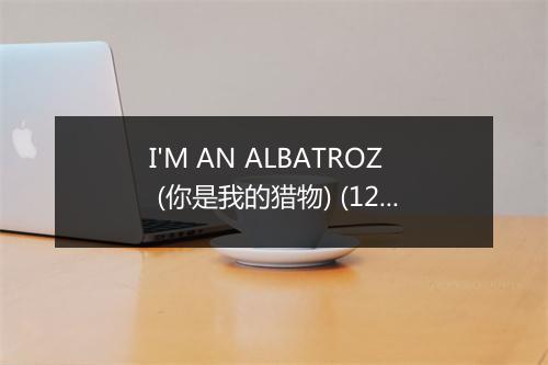 I'M AN ALBATROZ (你是我的猎物) (128 BPM) - DJ Space'C-歌词