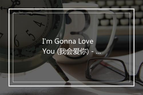 I'm Gonna Love You (我会爱你) - Freestyle-歌词