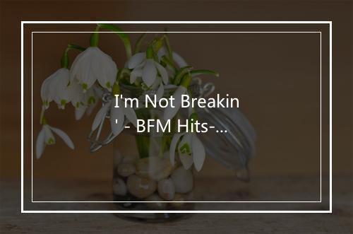 I'm Not Breakin' - BFM Hits-歌词