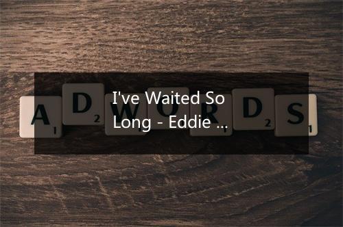 I've Waited So Long - Eddie Cochran-歌词_3