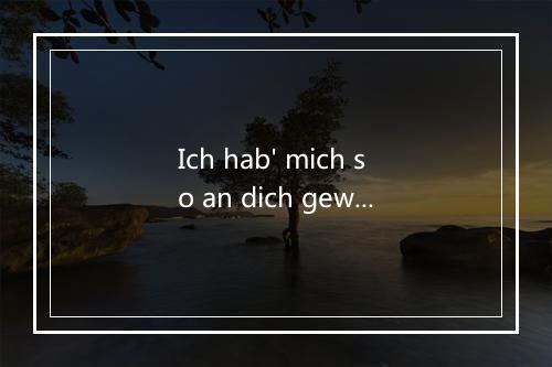 Ich hab' mich so an dich gewöhnt - Bully Buhlan-歌词