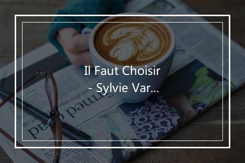 Il Faut Choisir - Sylvie Vartan-歌词