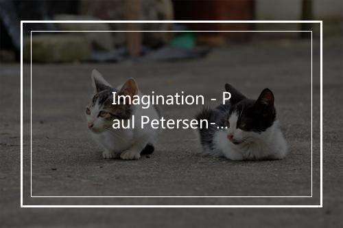 Imagination - Paul Petersen-歌词