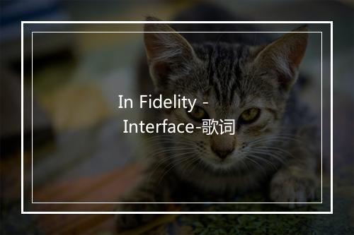 In Fidelity - Interface-歌词