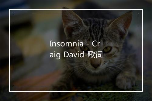 Insomnia - Craig David-歌词