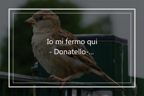 Io mi fermo qui - Donatello-歌词