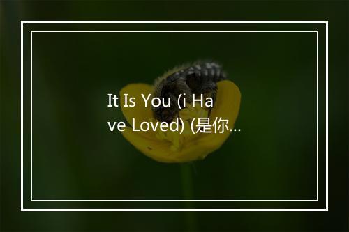 It Is You (i Have Loved) (是你（我爱过的）) - Dana Glover-歌词