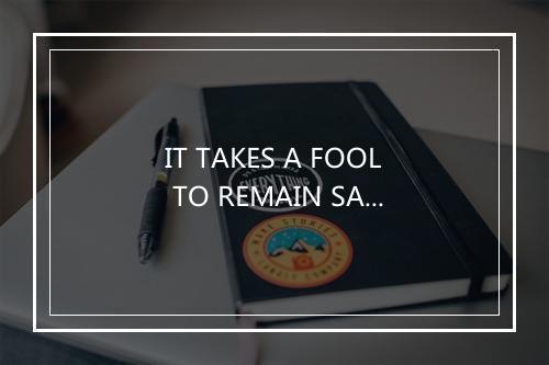 IT TAKES A FOOL TO REMAIN SANE - One Nation-歌词