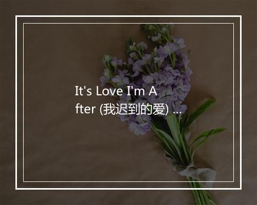 It's Love I'm After (我迟到的爱) - Red Norvo-歌词