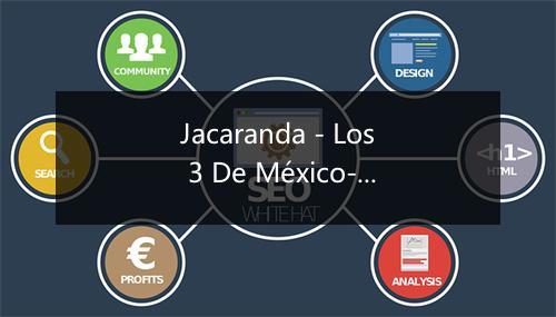 Jacaranda - Los 3 De México-歌词