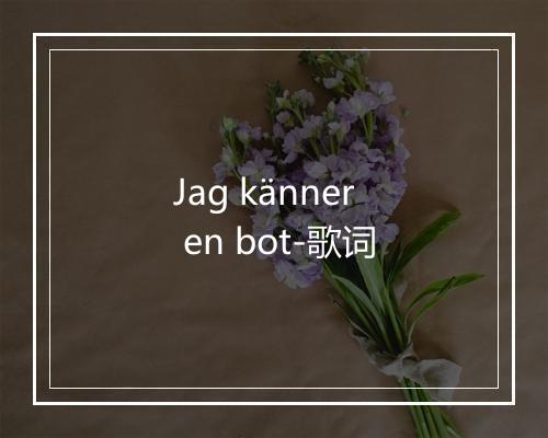 Jag känner en bot-歌词