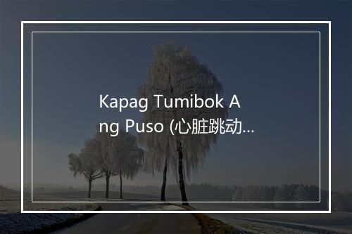 Kapag Tumibok Ang Puso (心脏跳动时) - Donna Cruz-歌词