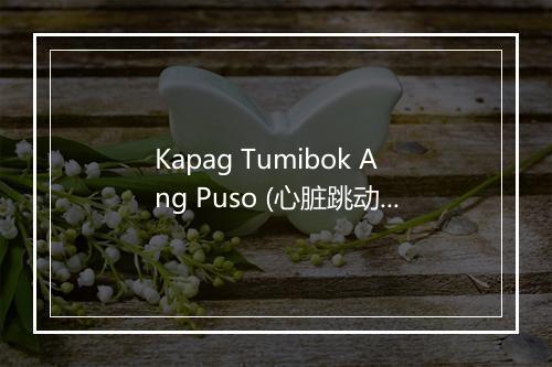 Kapag Tumibok Ang Puso (心脏跳动时) - Donna Cruz-歌词_2