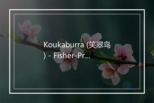 Koukaburra (笑翠鸟) - Fisher-Price (费雪)-歌词