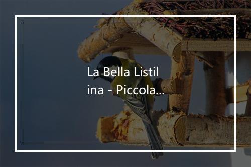 La Bella Listilina - Piccola Bottega Baltazar-歌词_1