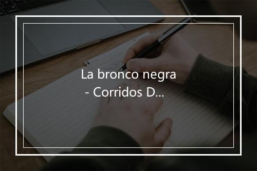 La bronco negra - Corridos Del Pueblo-歌词