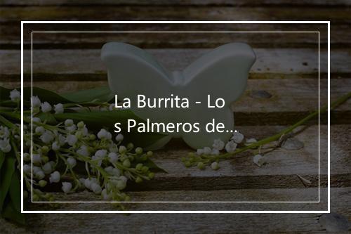 La Burrita - Los Palmeros de San Carlos-歌词